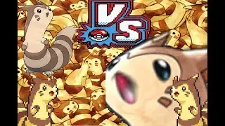 Pokemon Prism Solo-Run The Elite Four