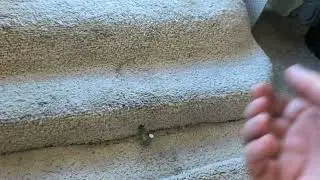 Engine Cover Removal