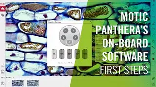Motic Panthera&rsquo;s On-Board software - First steps | by Motic Europe