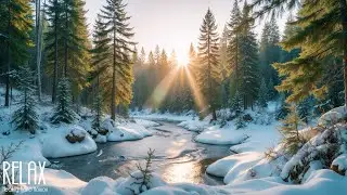 Beautiful Winter Music 2026 ❄️ Peaceful Relaxing Music, Gentle Instrumental Music For Calm ❄️