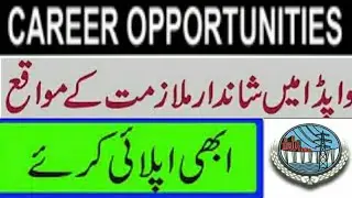 latest Wapda Jobs in Pakistan 2020/Wapda Jobs 2020/latest Wapda Jobs 2020/Govt Pakistan Jobs 2020.