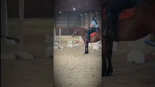 7 days left till the show #equestrianjourney #horseriding #horse #equestrian #fyp #horselove