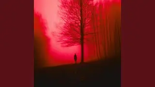 Temporary Love