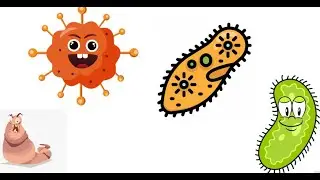 Microbiology - Tiny Organisms, Big Personalities!