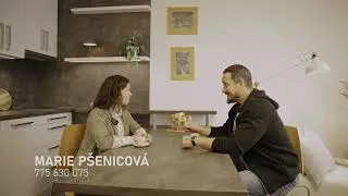 Prodej bytu 1+kk, 33 m², Brno-Vinohrady