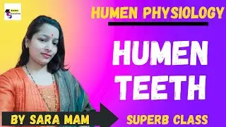 HUMEN PHYSIOLOGY CLASS / HUMEN TEETH / BY SARA MAM / SARA  EDUCATION