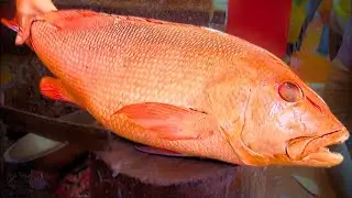 Never Seen before!😱😱| Amazing Red Popa Fish Cutting Skills By Expert In Bangladesh. 