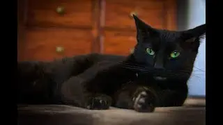 Rhett Story (AKA Ragnar)