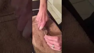 How to open an oyster