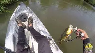 Canal Bitelo Fishing com Tonny Vieira
