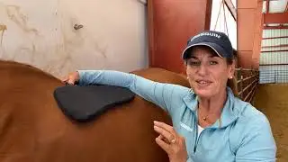 Truth Takes Time Week 9, Fitting the Western Saddle