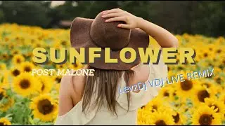 SUNFLOWER Post Malone  LevzDj Live Remix