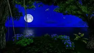 Relaxing Moon night, mediation healing music, stress free music and mental peace music