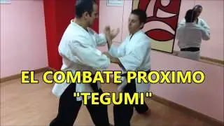 En busca del combate olvidado del karate.TEGUMI. F&eacute;lix Bargados.
