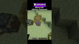 Hidden Features in Minecraft!🤫#minecraft #gaming #secret #fypシ゚viral #fyp #viral #fypage #easteregg