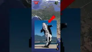 Digital Orca in Google Earth and Google maps #googleearth #map #earth #shorts #ytshorts