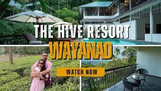The Hive Wayanad  Resort - Kondody Hotels | Best Resort Hotel in Wayanad | Best Resorts to Stay