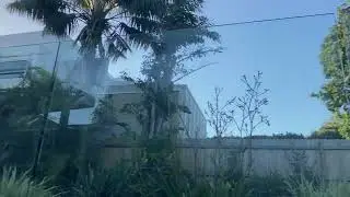 11 January 2026 #outdoors #summer #bluesky #heatwave #garden #sunshine #australia #sydney #relaxing 