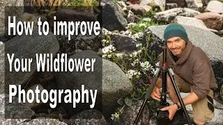 Improve you wild flower photography as easily as this!!! | Landscape Photography | Scotland