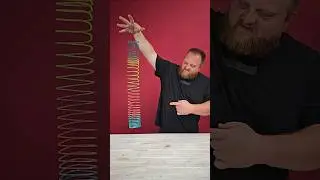 Slinky drop physics
