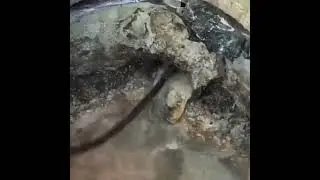 Sewer Cleaning Tool High-pressure Nozzle
