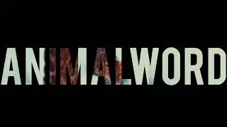 ANIMALWORD Ordinario