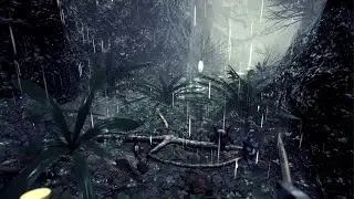 Visage: Lucy's tree house