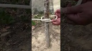 Locking Stake Knot, Simple and Practical #Knot #Knotting #Knotting Tips #LifeHelper #UpTrending