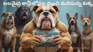 Arjun and the Mystery of the Missing Homework@AIDogWorld-7