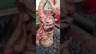 Screaming Mandrake Plant☘️🌵 in Hogwarts school (Harry Potter) #short #subscribe #youtubeshorts