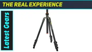 Is the 3 Legged Thing Patti the BEST Travel Tripod?