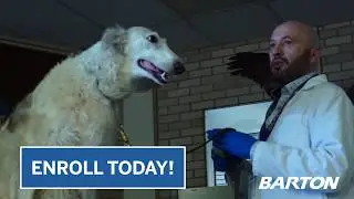 Online college classes: Less than half the cost of a university: Barton Community College