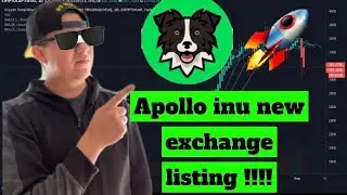 Apollo inu xt exchange !!!!