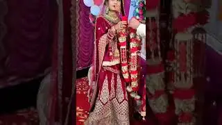 Beautiful Jaymala Ceremony