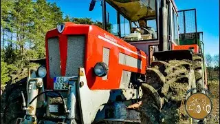 Miststreuen 2019 - Schl&uuml;ter // Strautmann I Weidemann T6025 I Mist 2019