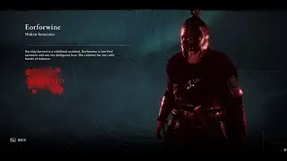 How to Defeat a Zealot with a shield (on Hardest Difficulty)