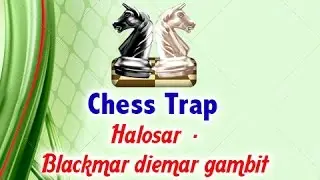Chess Trap  Halosar    Blackmar diemar gambit Chessworld net   Chess Website