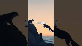 The Lighthouse Pact of the Midnight Rescue