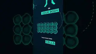 Your Body Has More Bacteria Than Cells!
