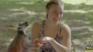 Chase Rescue Sanctuary Documentary