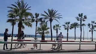 Re.upload baywalk