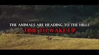 The Animals Acting Strange, Major Earthquakes, Ring of Fire and Yellowstone Volcano Awakening!