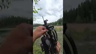 Shooting the Ballista Bat Reverse