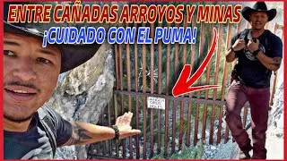 ENTRE CAÑADAS ARROYOS Y MINAS CUIDADO CON EL PUMA!