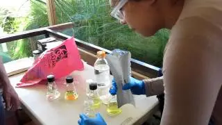Microbial testing with Quanti tray   adding solutions to the trays
