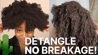 How To DETANGLE DRY DUSTY 4C Hair After A Week Of Wash and Gos - NO BREAKAGE!!!