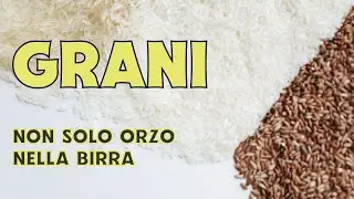 Verso l'orzo e oltre! Tutti i cereali per fare birra.