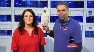 Mellisa's PET DEPOT&reg; N. Dartmouth & Fairhaven, MA