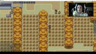 PokeMMO, Dia 3 Buscando a charmander shiny y zubat shiny, Ruta 3