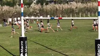 Puey m16 vs Vilo